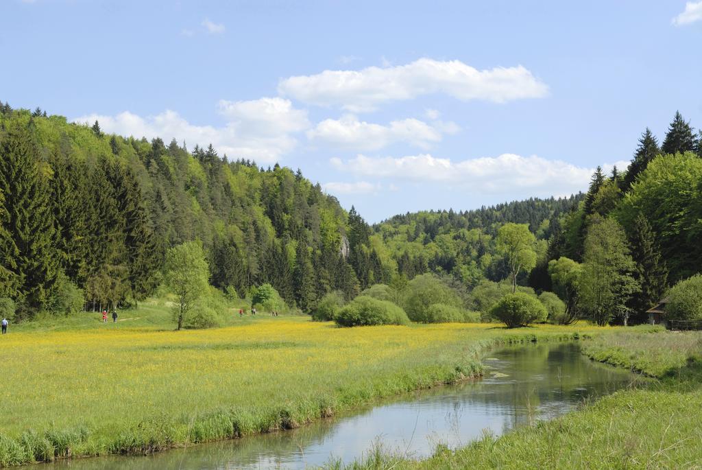 Chalet Am Bach Bad Birnbach Rom bilde